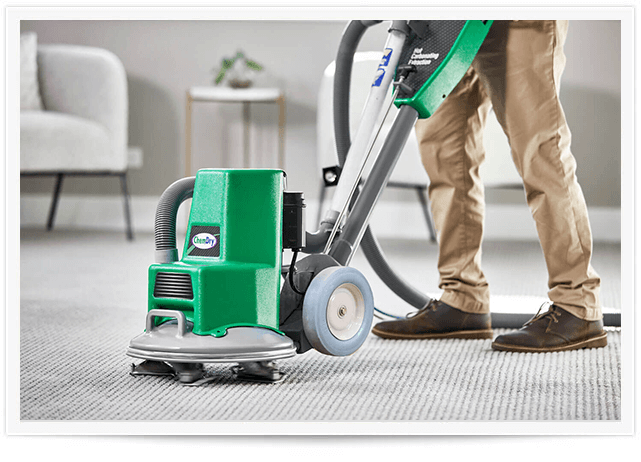 Carpet Cleaning
