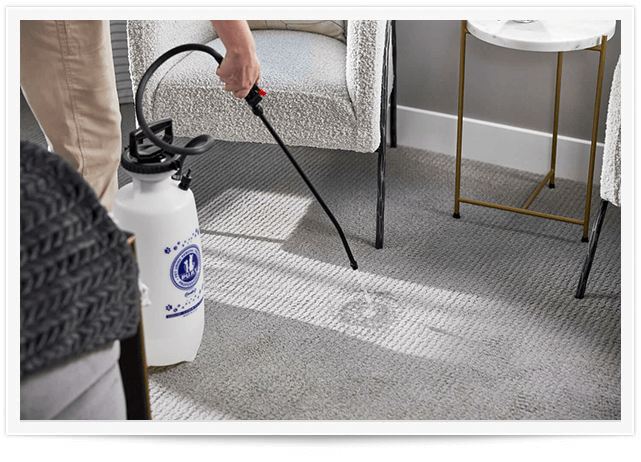 Pet Urine Removal Treatment