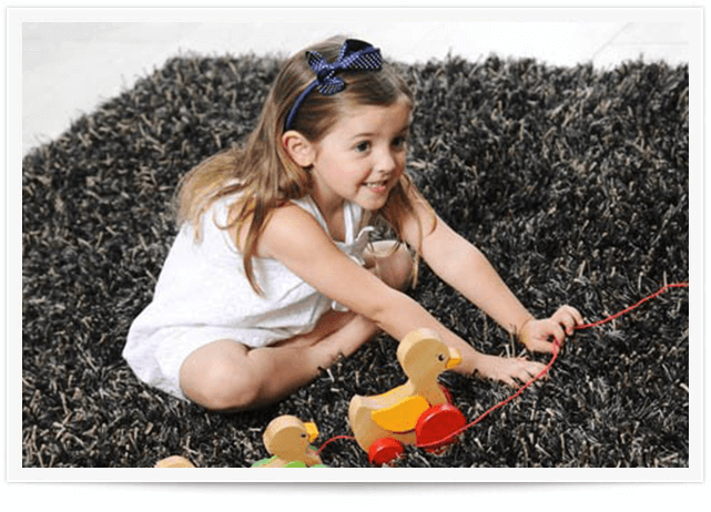 Area Rug Cleaning